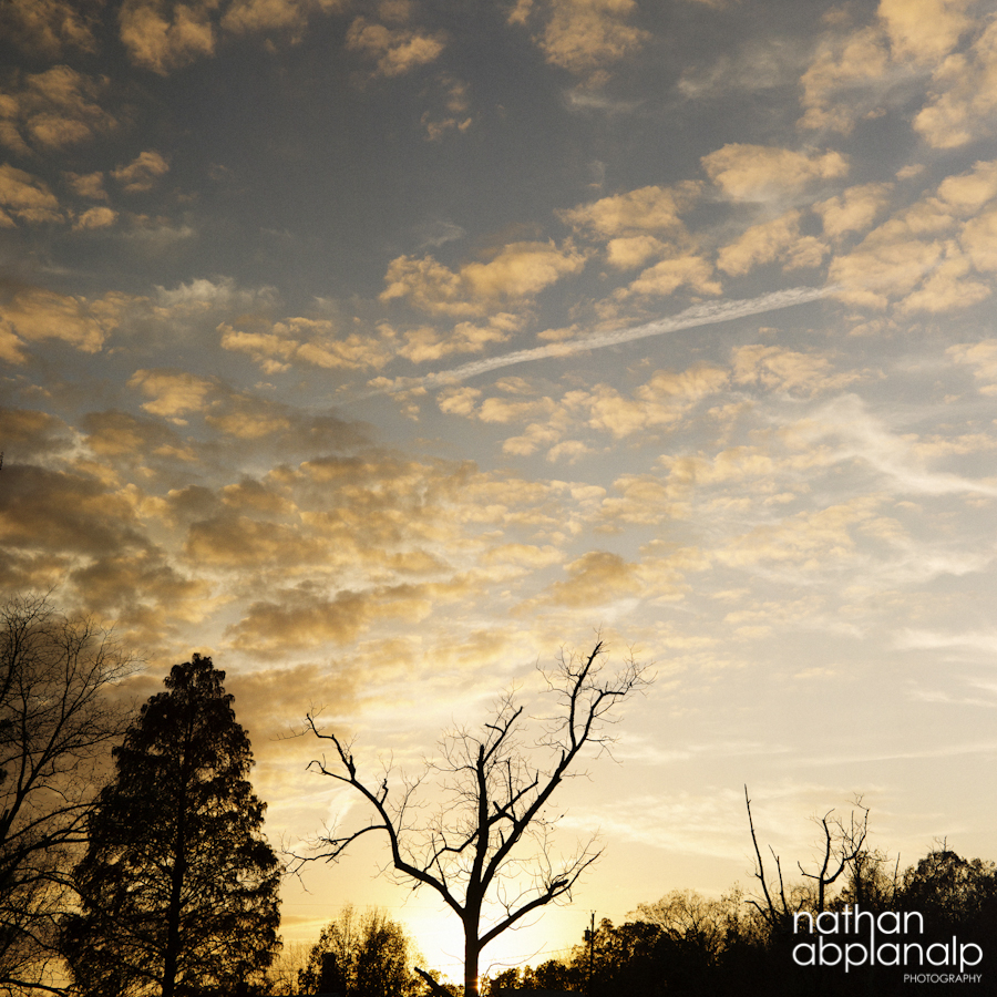 Nathan Abplanalp - Charlotte Photographer (2)