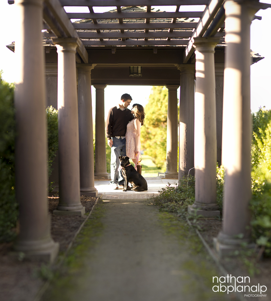 Nathan Abplanalp - Charlotte Wedding Photographer