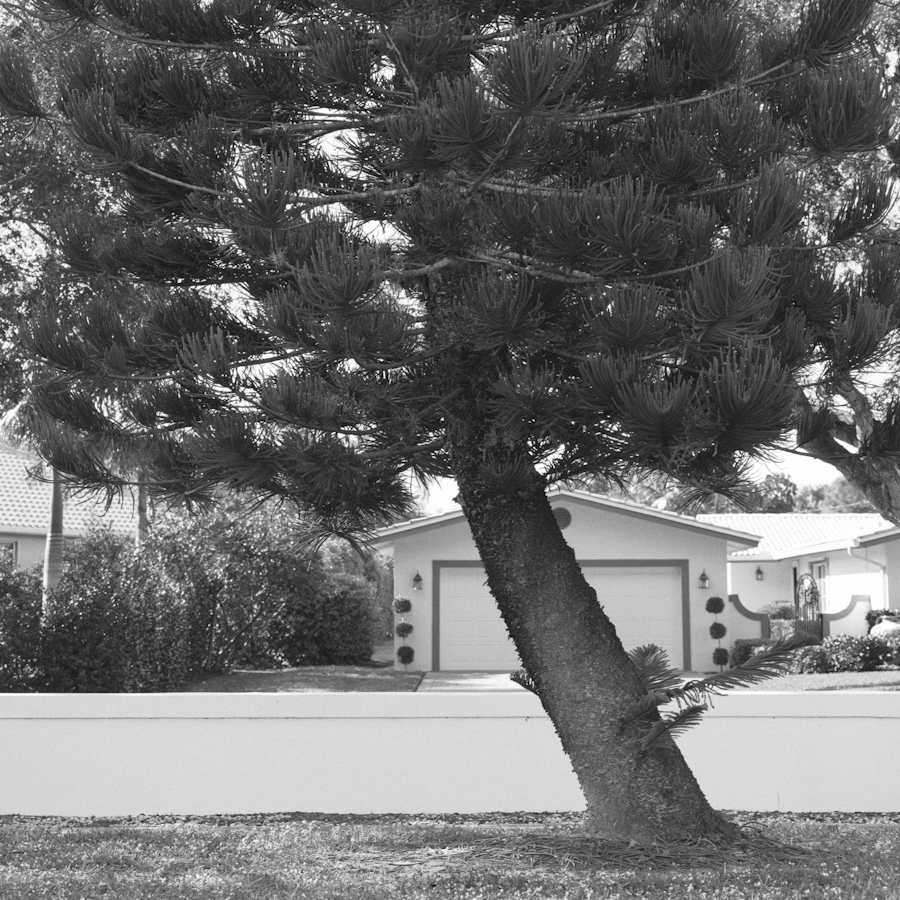 Nathan Abplanalp - Charlotte Portrait Photography (12)