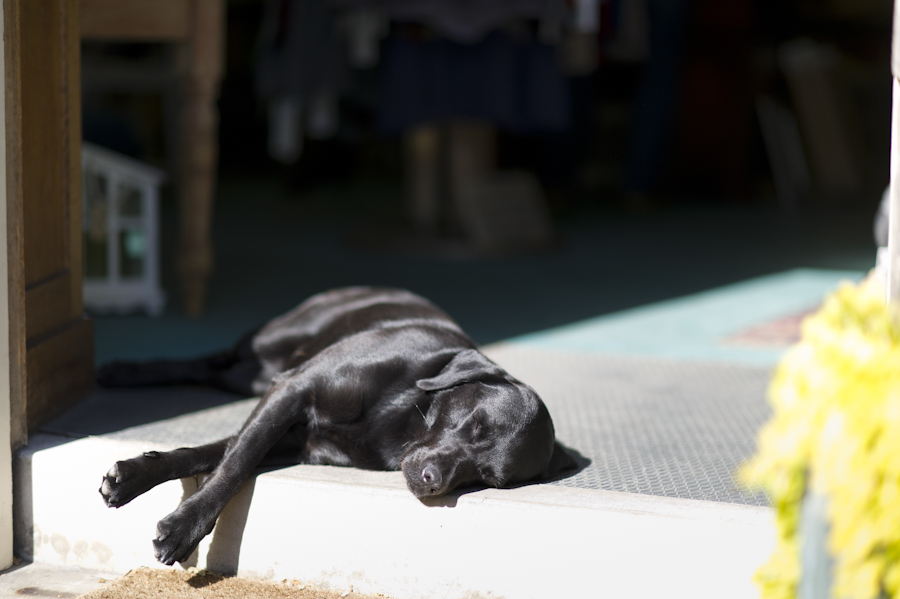 Nathan Abplanalp - Charlotte Portrait Photography (79)