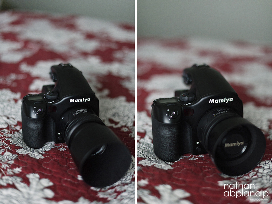Nathan Abplanalp - Charlotte Wedding Photography (1)