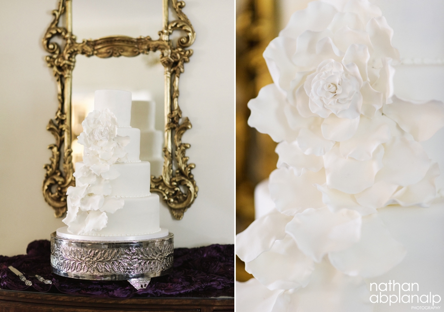 Charlotte Wedding Photographers | Nathan Abplanalp (4)