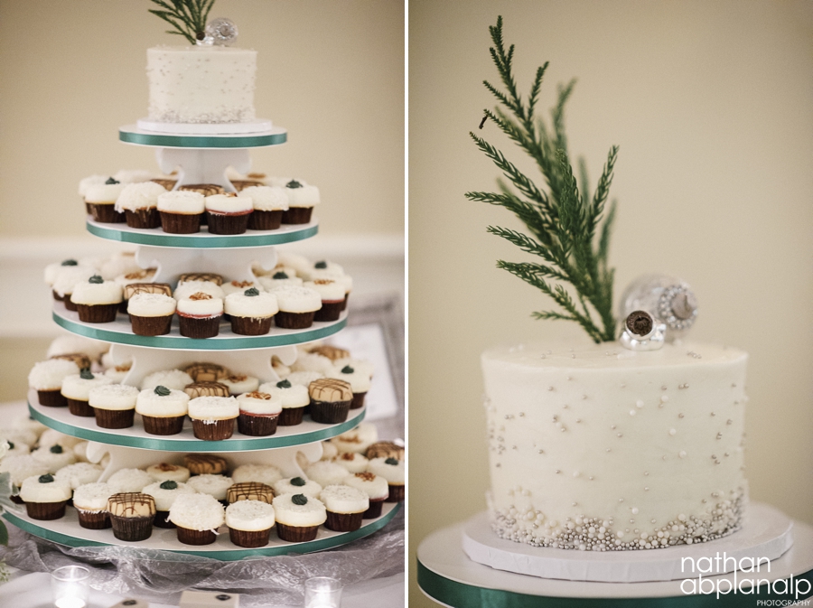 Charlotte Wedding Photographer - Nathan Abplanalp (14)