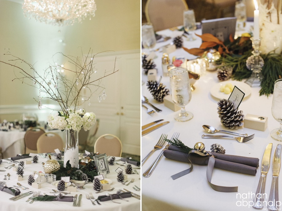 Charlotte Wedding Photographer - Nathan Abplanalp (13)