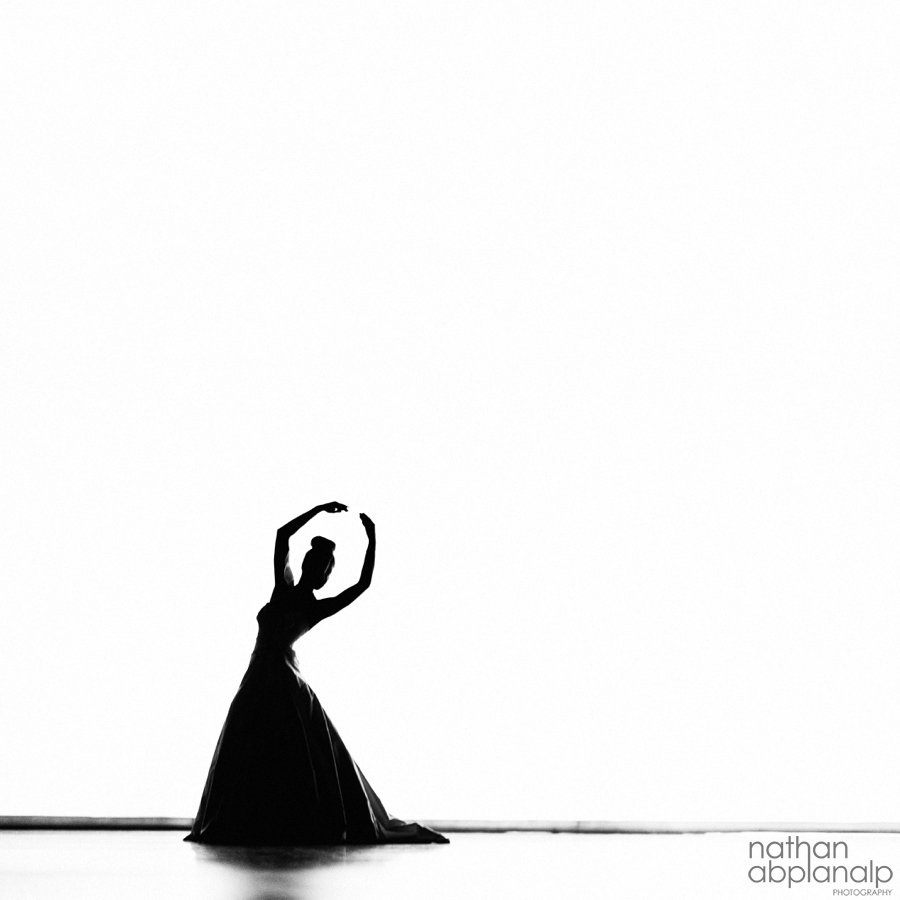 Charlotte Wedding Photographer - Nathan Abplanalp (2)