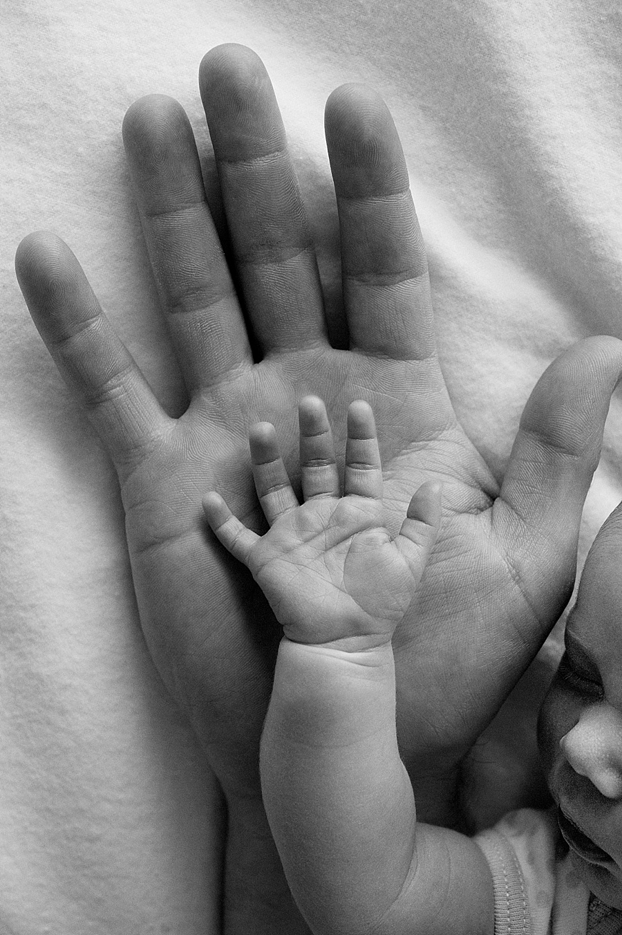 Newborn baby hand in father's hand in Charlotte NC