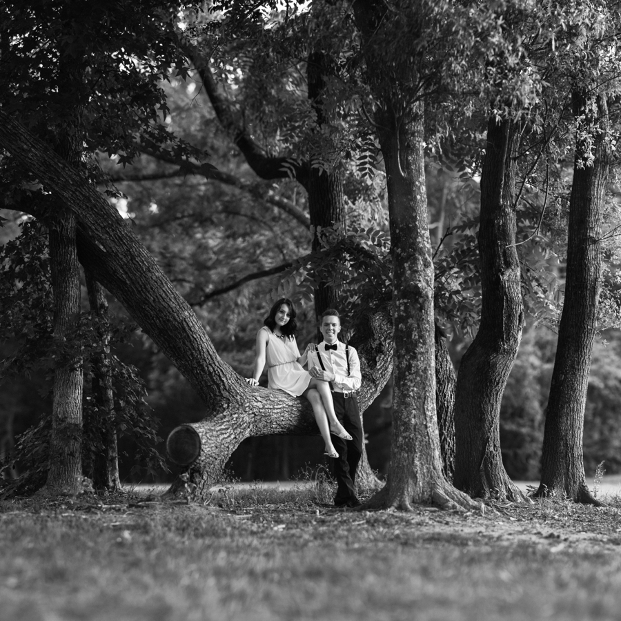 Couple sitting in tree in Charlotte NC