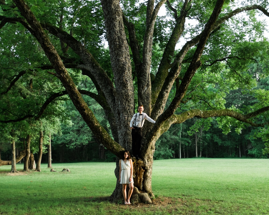 Man standing in large tree in charlotte nc