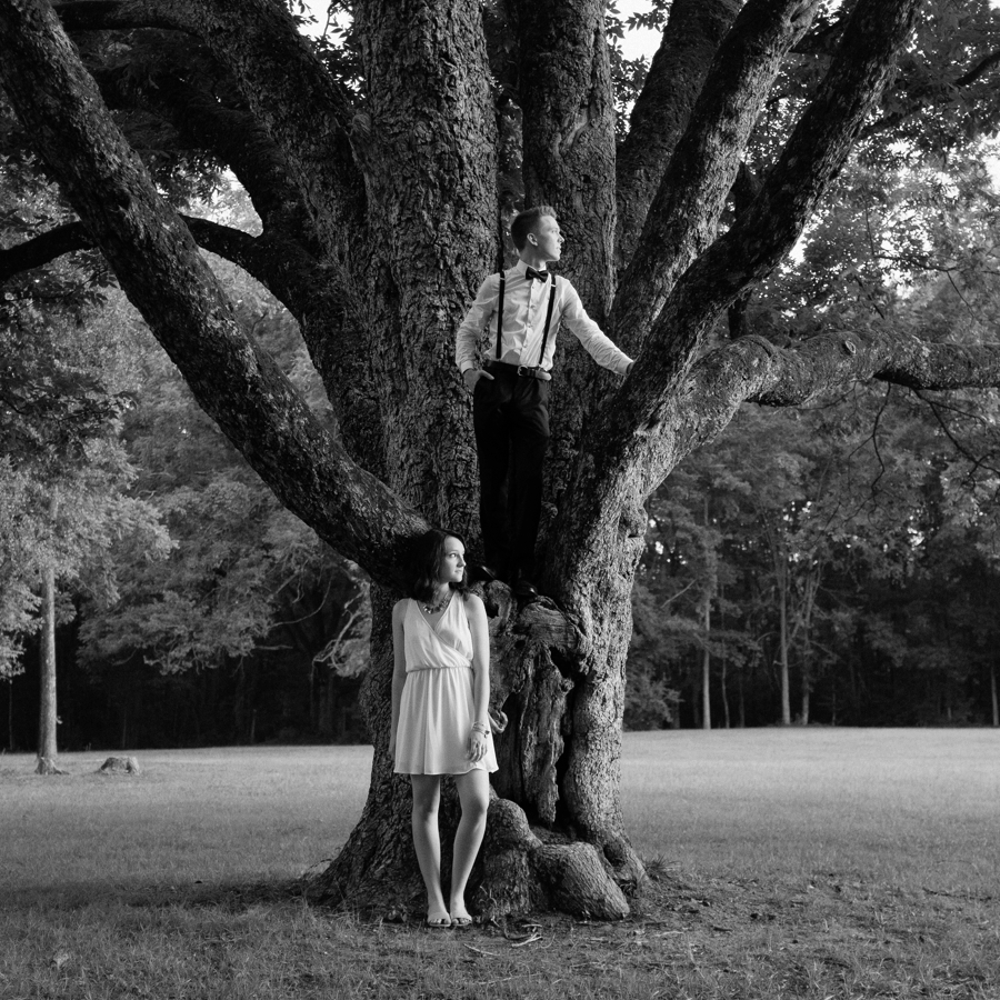 man and woman standing in large tree in charlotte nc