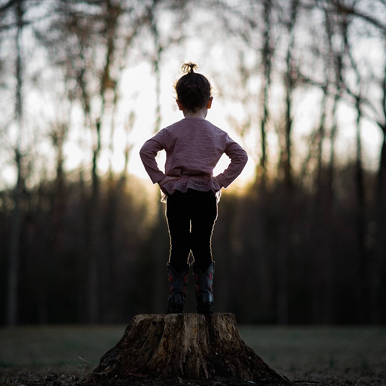 Toddler standing on stump looking at sunset at Westminster Park, Rock Hill, SC