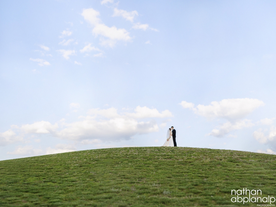 Bride and Groom upon a hilltop