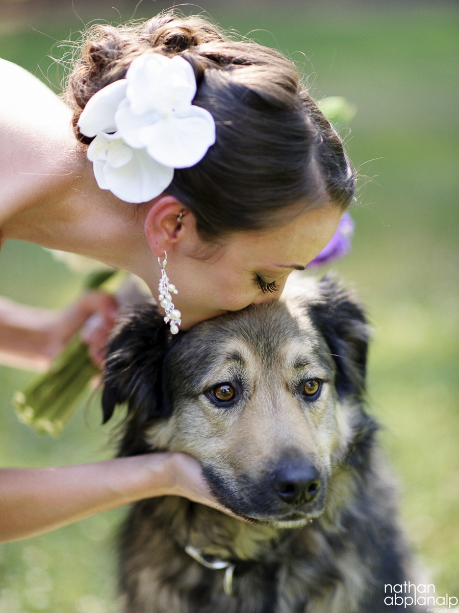 Charlotte Wedding Photographer - Nathan Abplanalp (22)